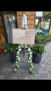 ✨️💍VERLOBUNGSFEIER💍✨️
#engage #engagement #strandbad #inselreichenau #spezialitäten #buffet #leckeressen #inselliebe❤️ #feier #verlobungsfeier #eventphotography