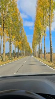 🍁🍂HERBST🍂🍁
#autumn #inselreichenau #strandbad #inselliebe❤️ #bestrestaurant